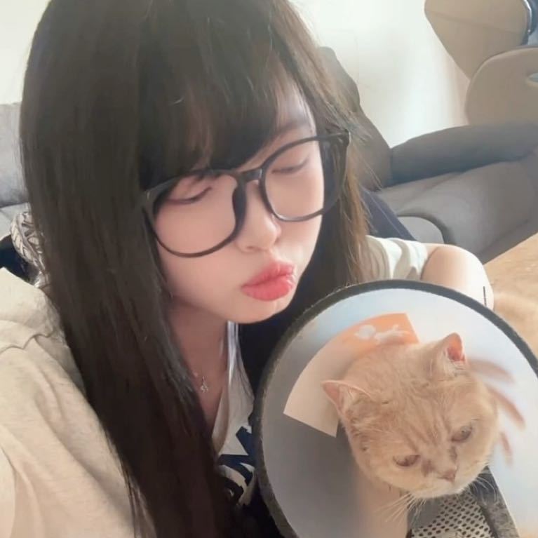 南风Koneko头像