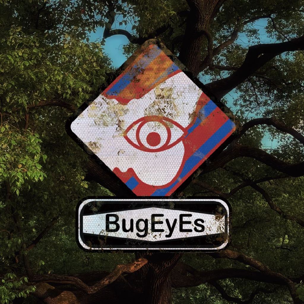 虫·信号 Bug EyEs头像