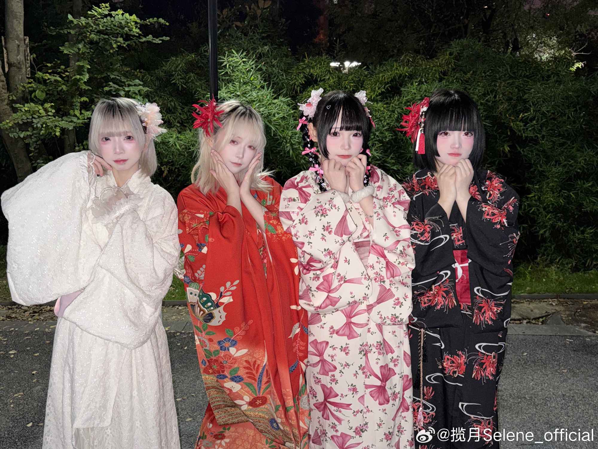 揽月Selene