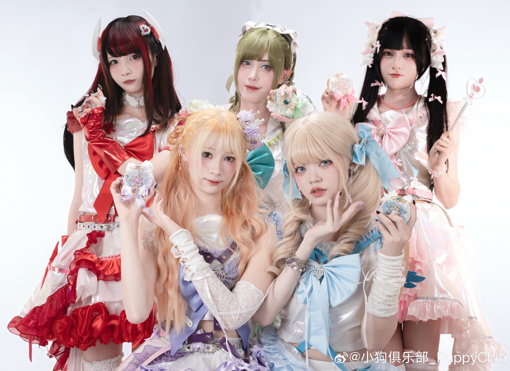 小狗俱乐部PuppyClub
