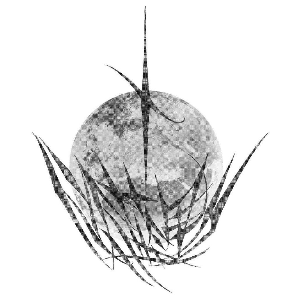 里赛托藍星头像