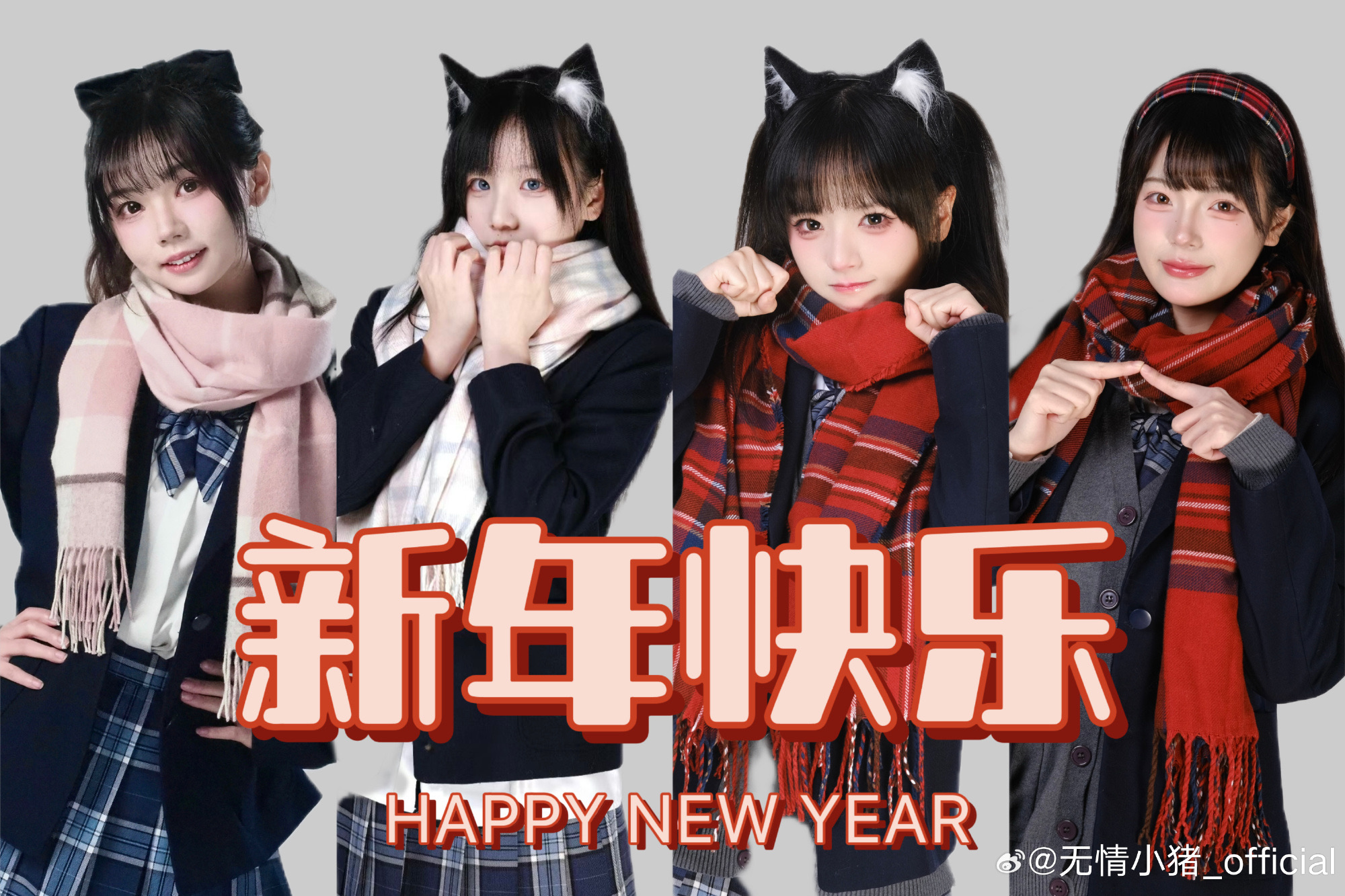 无情小猪 团体封面