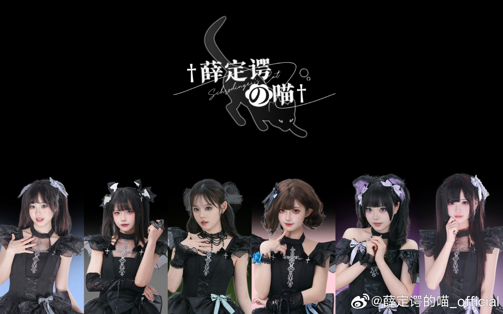 薛定谔的喵