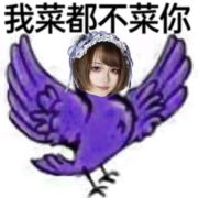 菜菜kagami头像